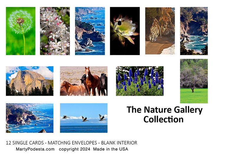 NOTE CARDS    Nature Gallery Collection