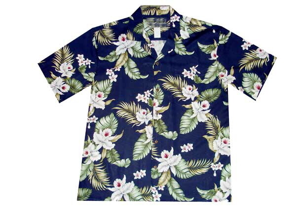 812-NAVY