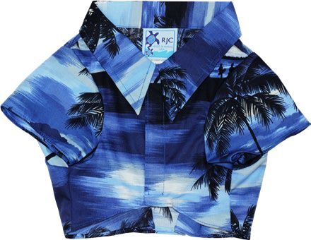 R-D01-S41-BLUE (Deep Inventory)