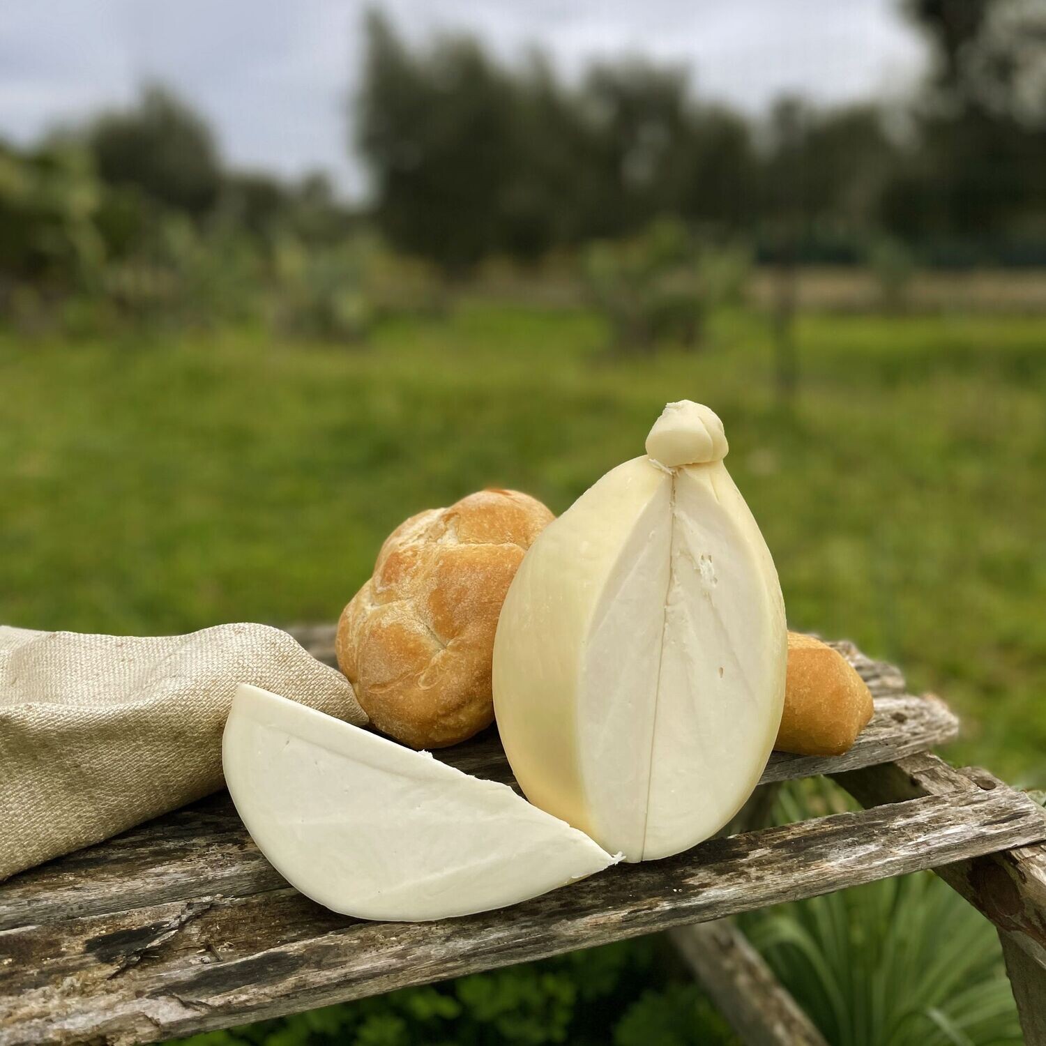 Caciocavallo 