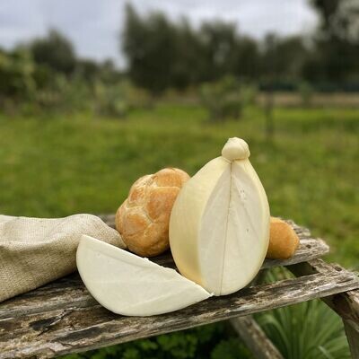 Caciocavallo 