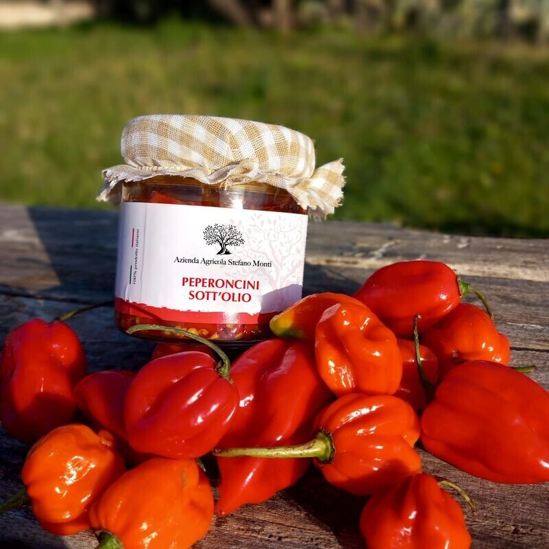 Peperoncini sott'olio