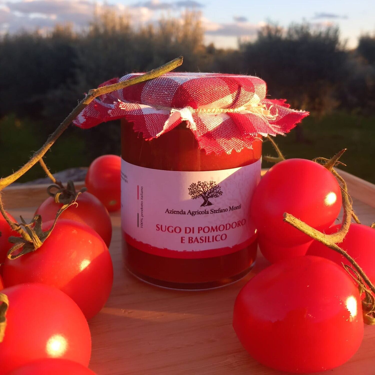 Sugo di pomodoro e basilico