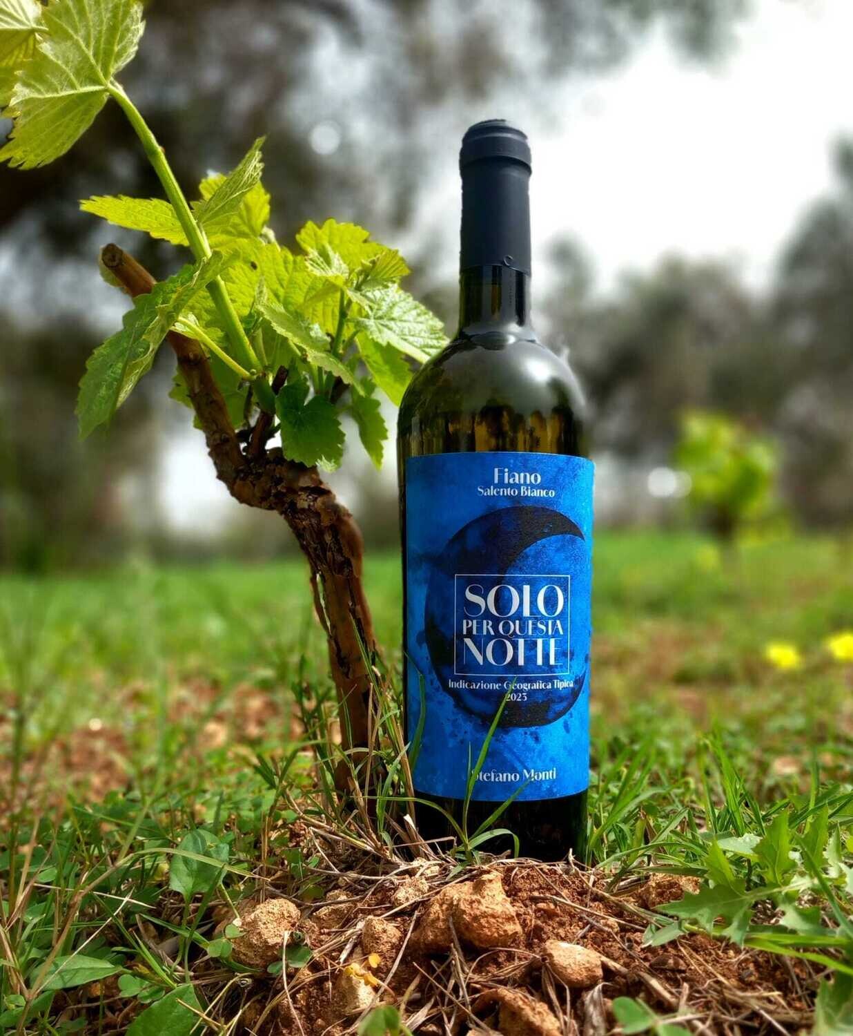 "Solo per questa notte" Fiano 2023 Biologico IGT Puglia