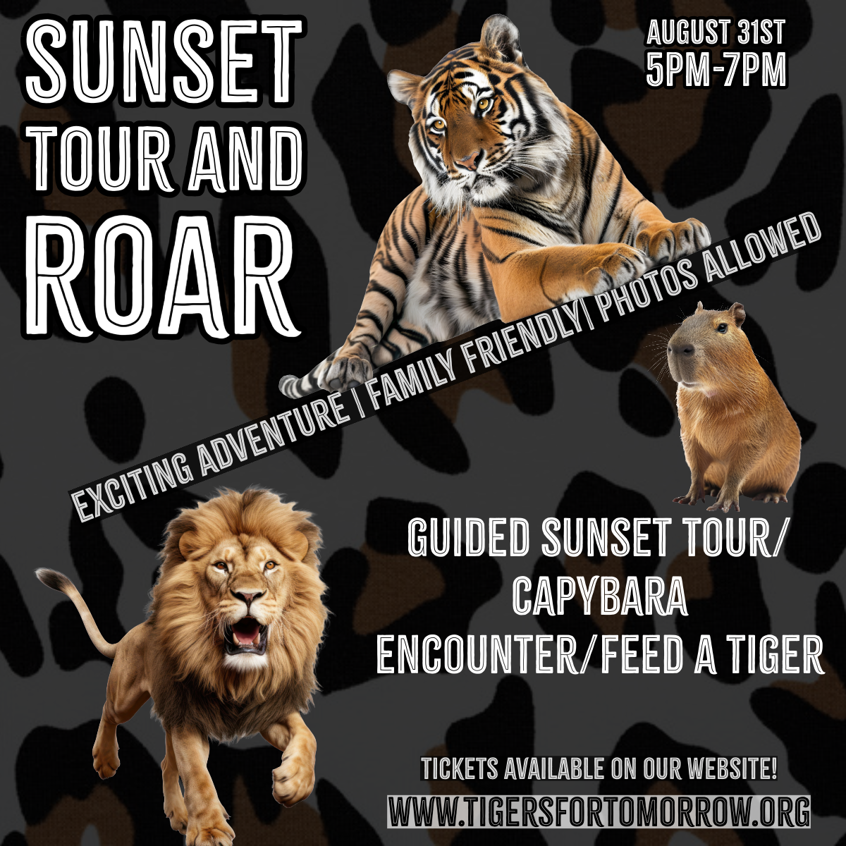 DATE: Saturday, August 31
TIME: 5:00 - 7:00 pm
LOCATION: Tigers for Tomorrow,
TICKETS: $50 per person; this tour is family-friendly.
Ticket Info Here:  Sunset Tour and Roar (tigersfortomorrow.org)

Enjoy a guided tour around the preserve, have a capybara encounter, and even feed a tiger safely. Experience the magic as the sun sets and the animals come alive during their evening roll call. You’ll feel the roar of our lions resonate deeply.