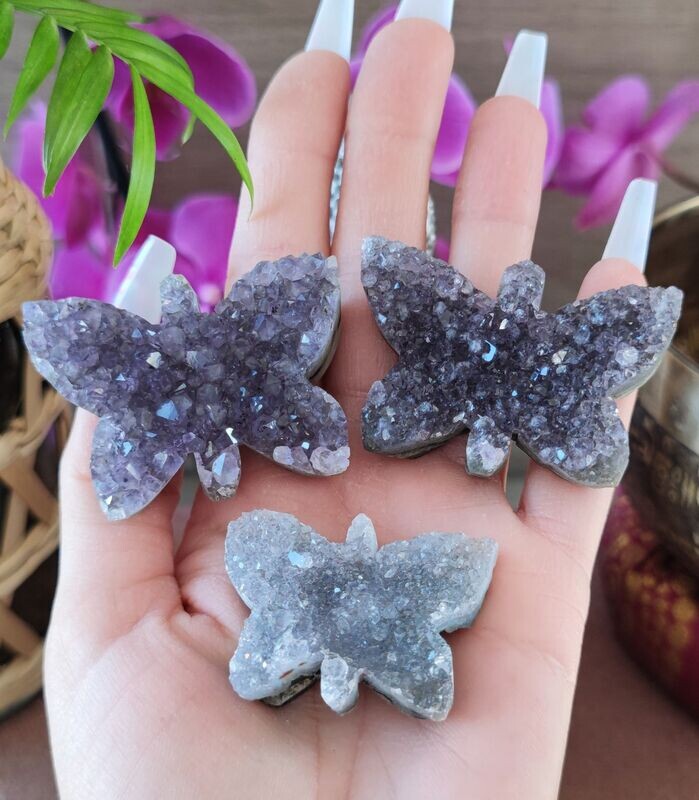 Druse d'Améthyste en Forme de Papillon (au choix)