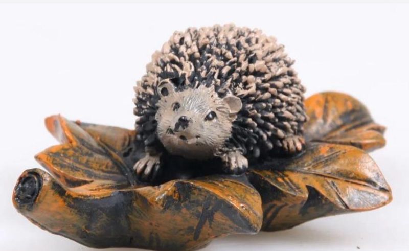 Egel op blad grijs