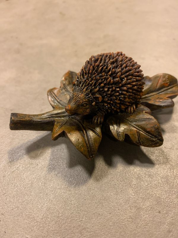 Egel op blad bruin