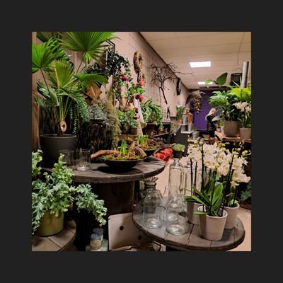 Decoratie
