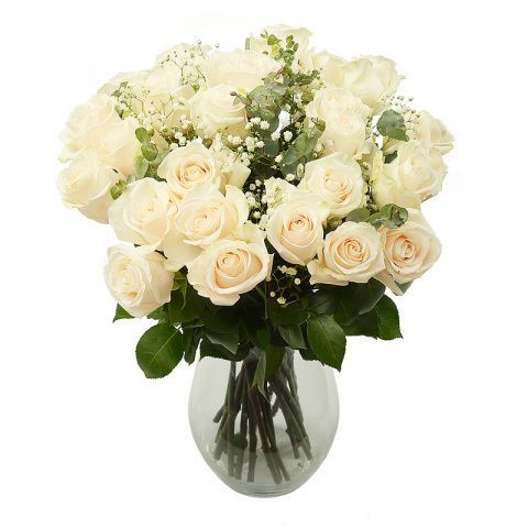 Witte roos