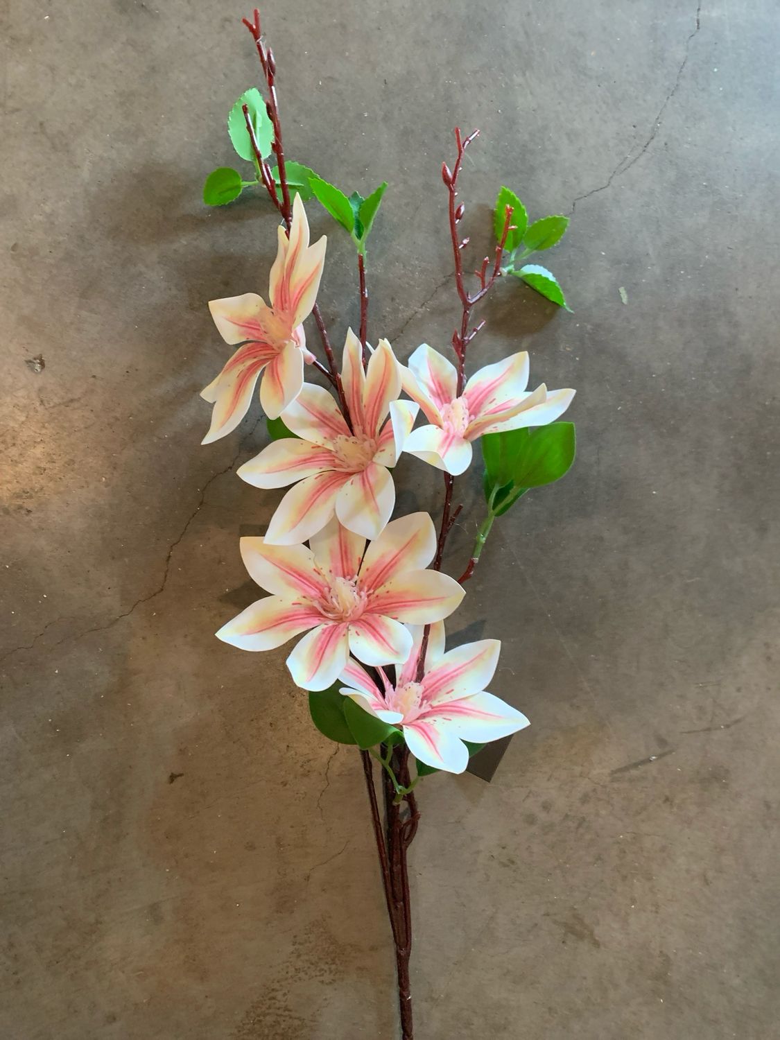 Countryfield magnolia zalm 2 voor