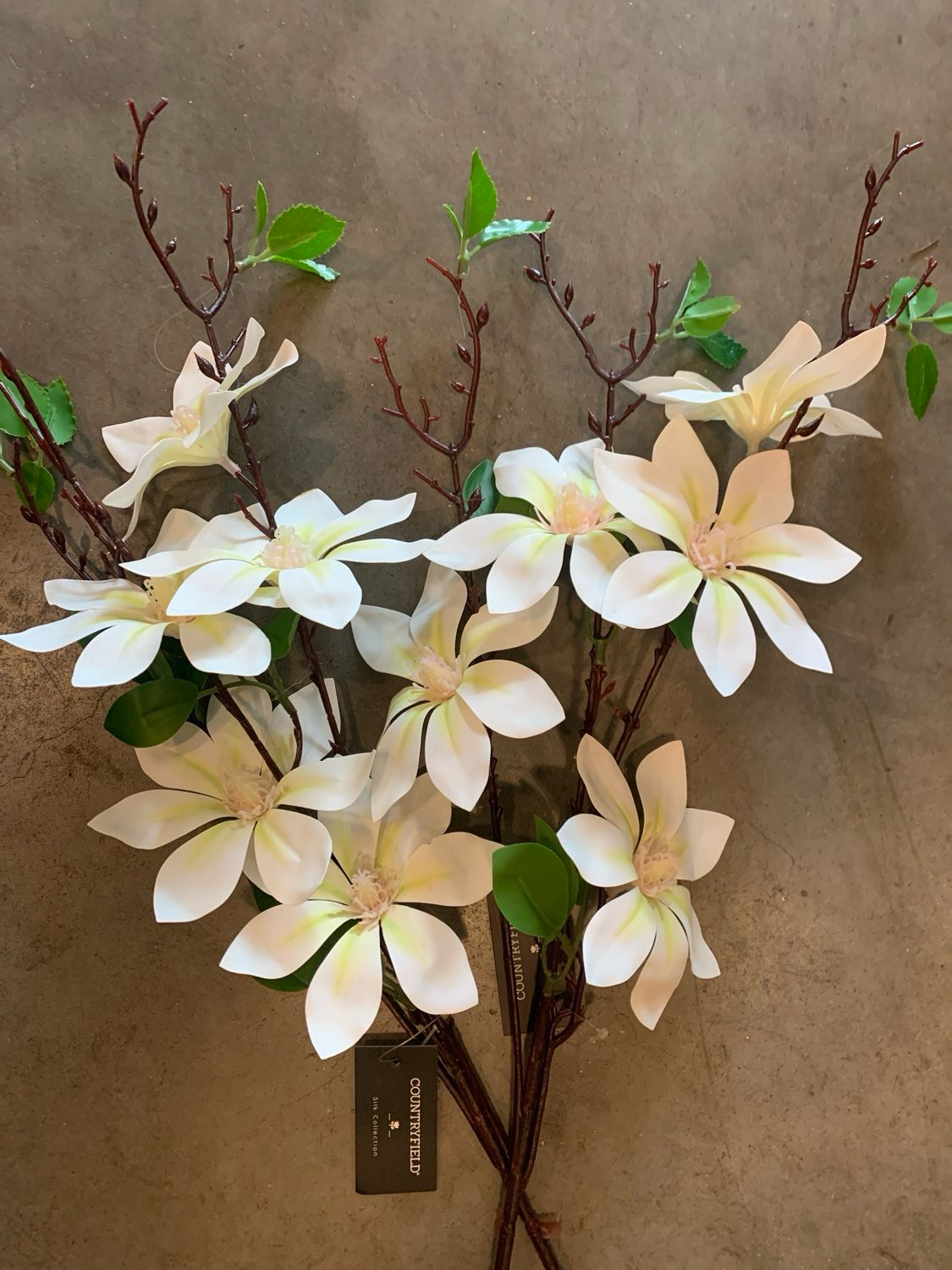 Countryfield magnolia wit nu 2 voor