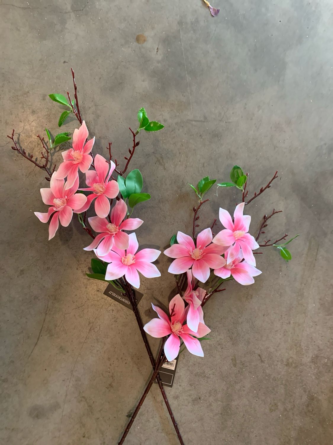 Countryfield magnolia roze 2 voor