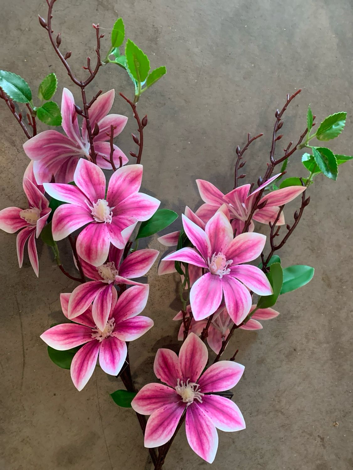 Countryfield magnolia 2 voor