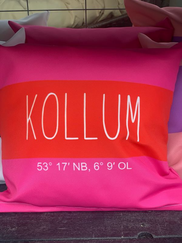 Kussen roze /rood