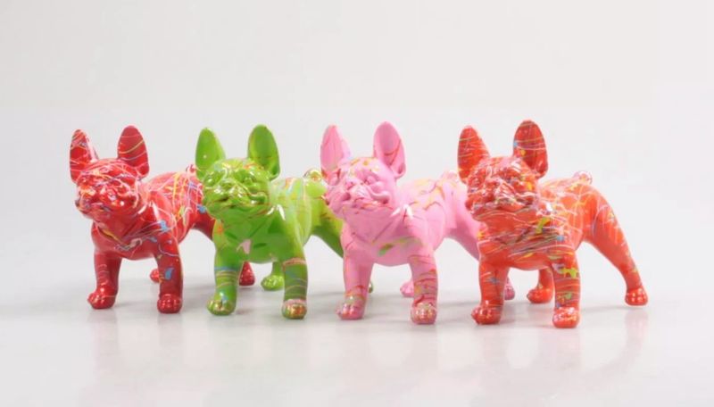 Franse bulldog kleur