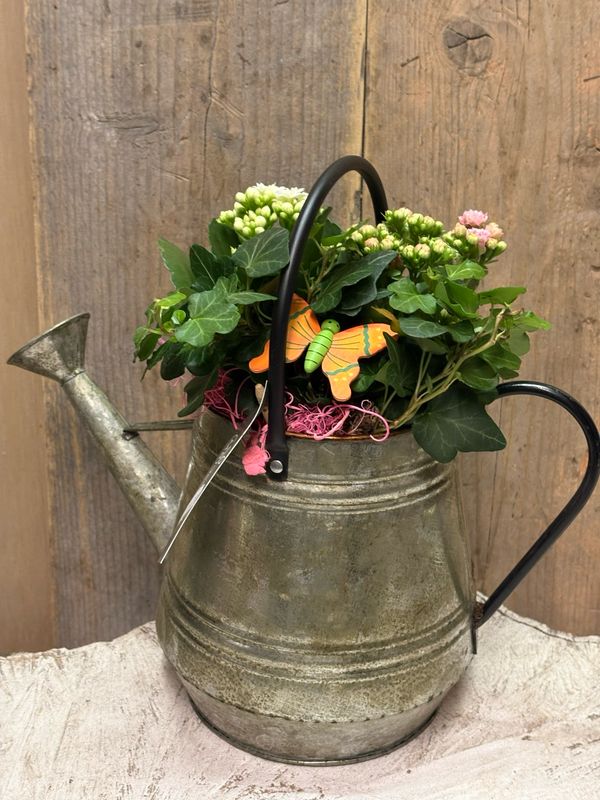 Gieter met planten