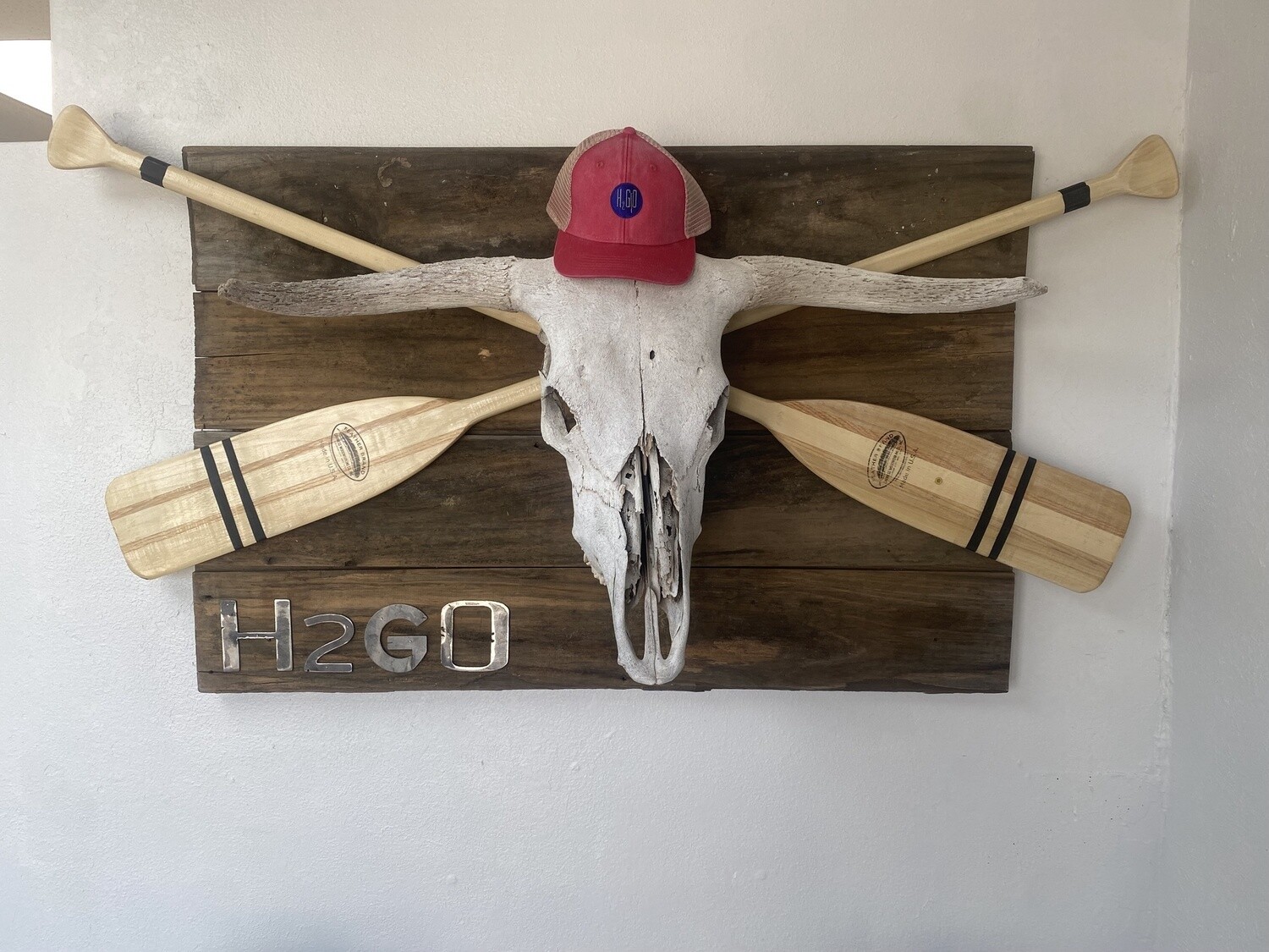 H2Go Logo Cap