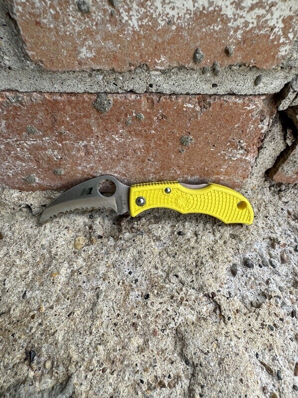 Spyderco Ladybug Salt Hawkbill