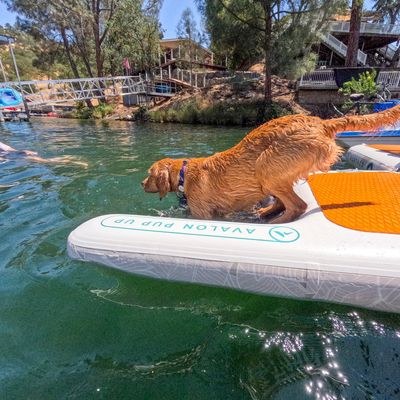 Further Pup Up ramp