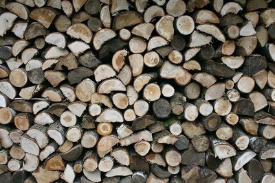 Working Agreement of Feasibility Study For Industrial Timber Plantation And Demonstration Plot Establishment