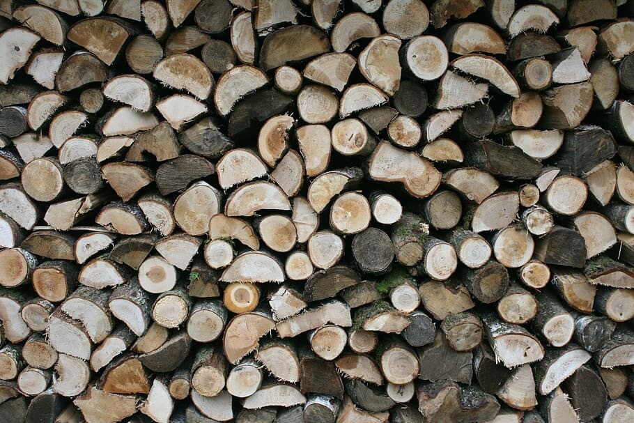 Template Kontrak Jual Beli Kayu Bulat
