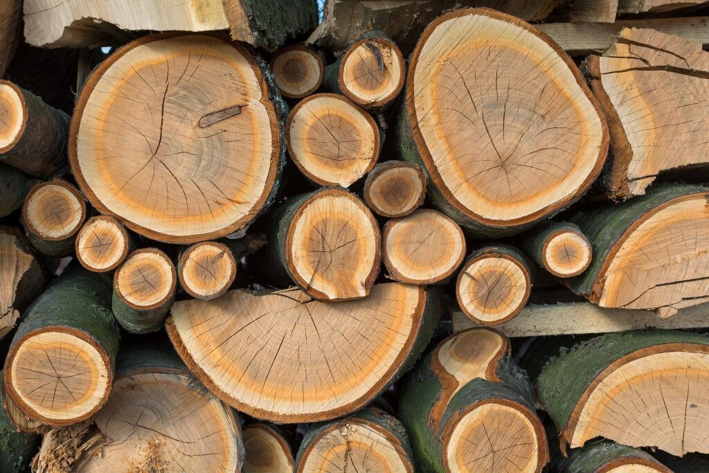 Template Perjanjian Jual Beli Kayu Akasia