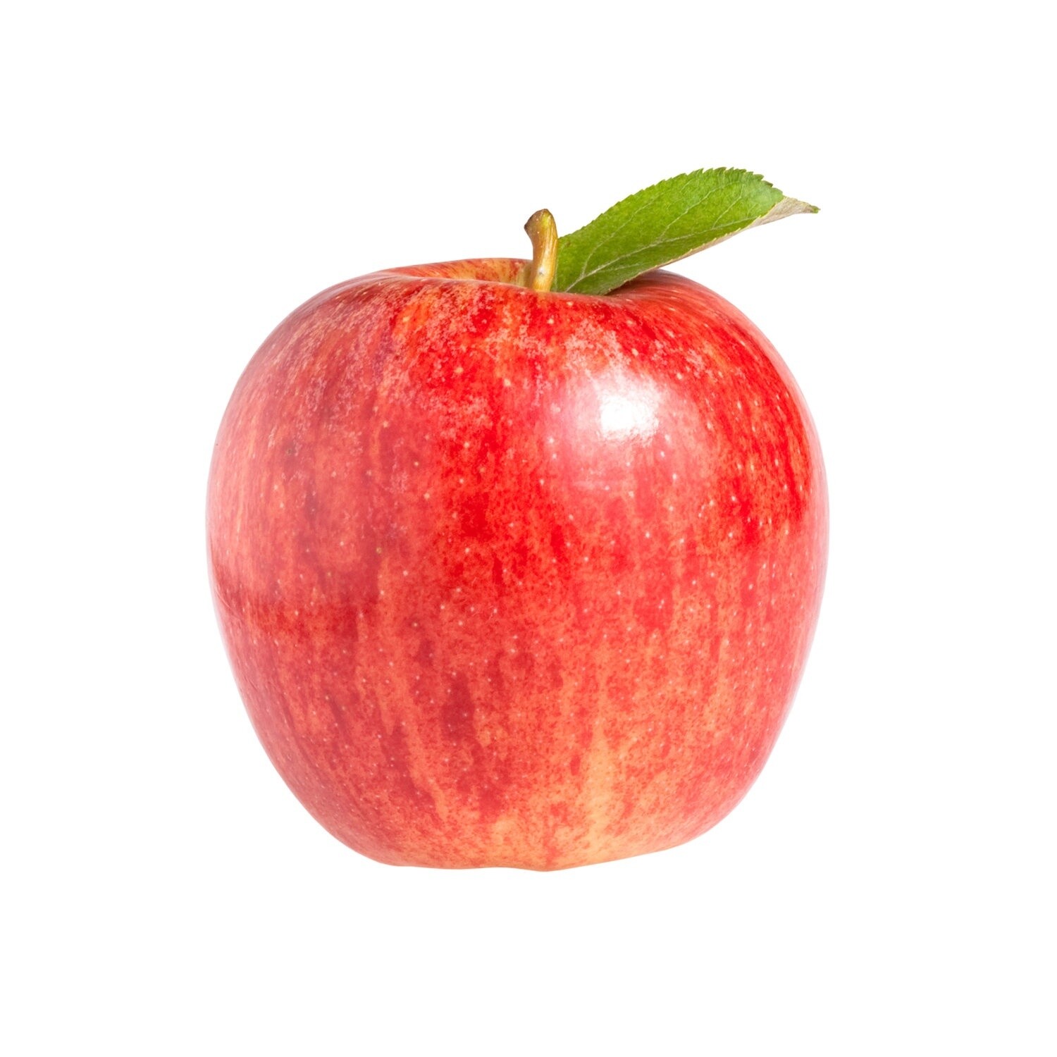 Gala Apples  /Lb