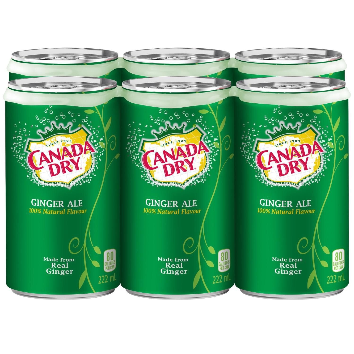 CANADA DRY Ginger Ale mini 6x222ml