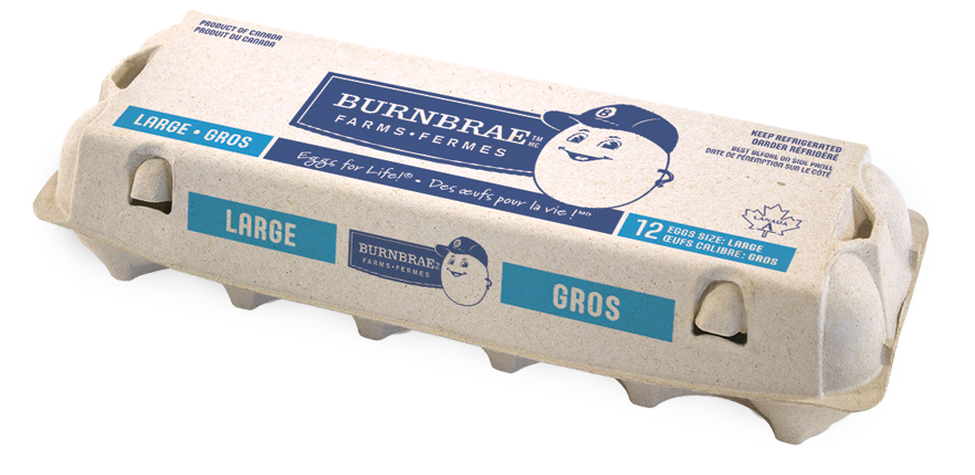 BURNBRAE LARGE Eggs 12