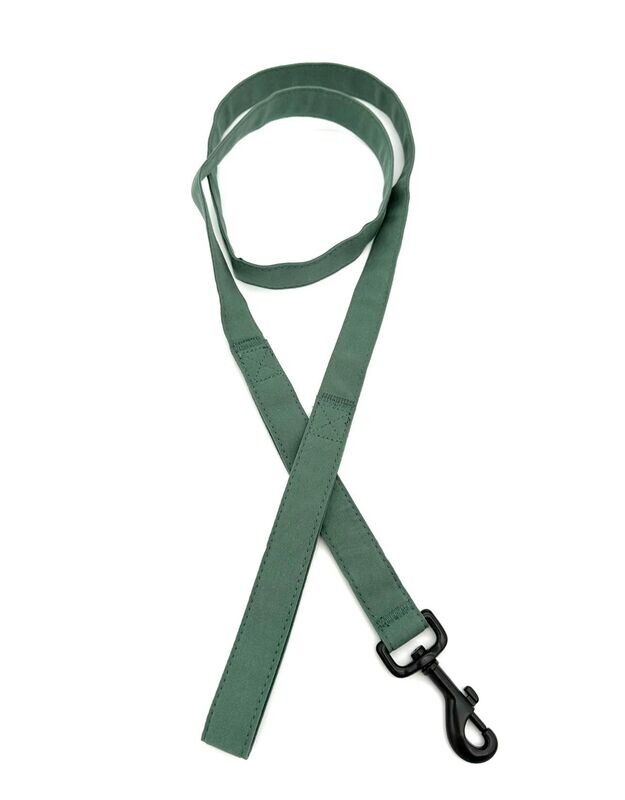 Cuddle Leash- "SAGE"