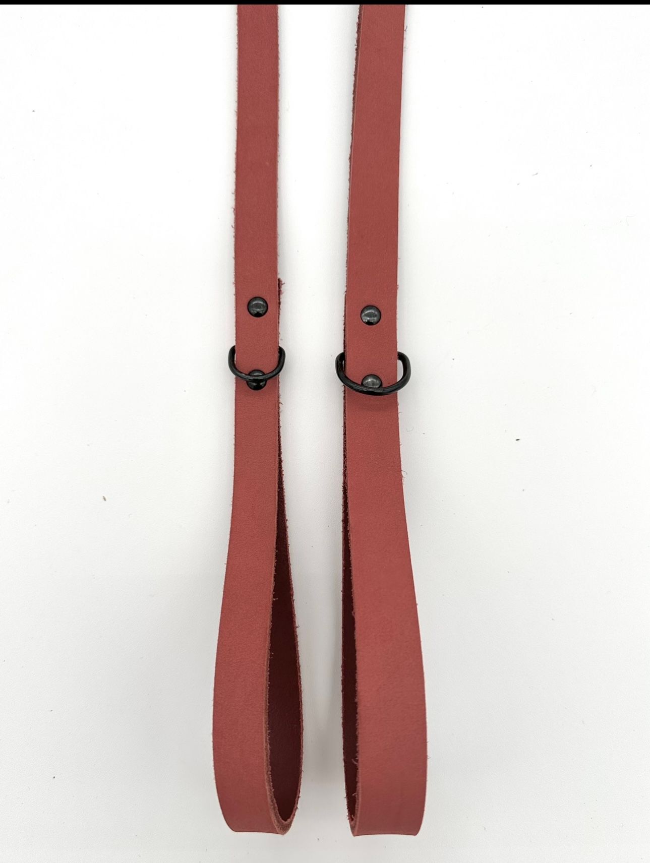 Sophisticated Leather Lead: 