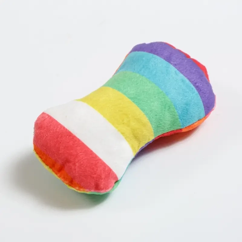 Small Plushy Squeak Chew Toy: "RAINBOW BONE"