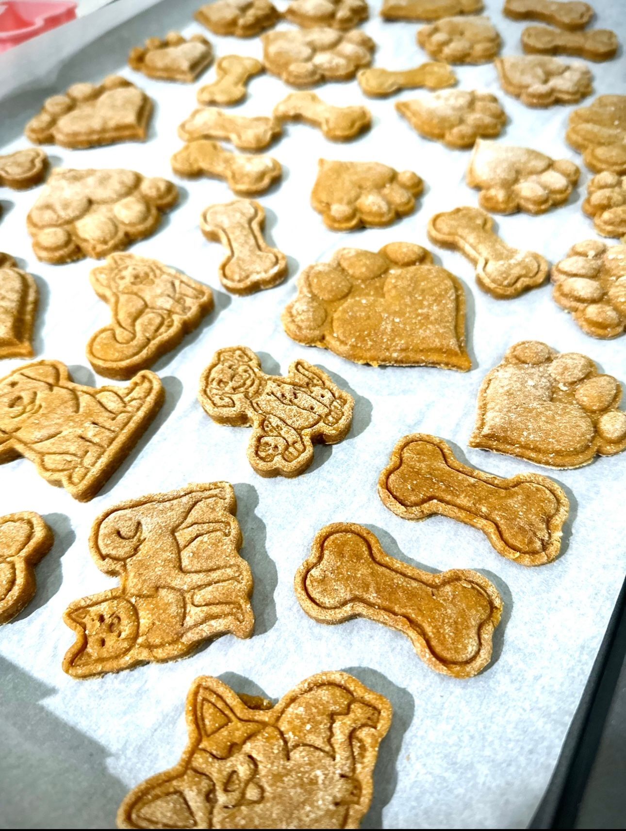 SWP's Peanut Butter Paws ‘n Bones Cookies ??