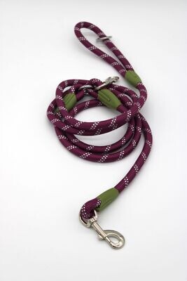 Hands free leash- PURPLE