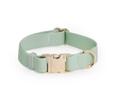 Waterproof Soft Durable Collar- LAUREL?