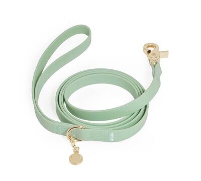 Leads/Leashes