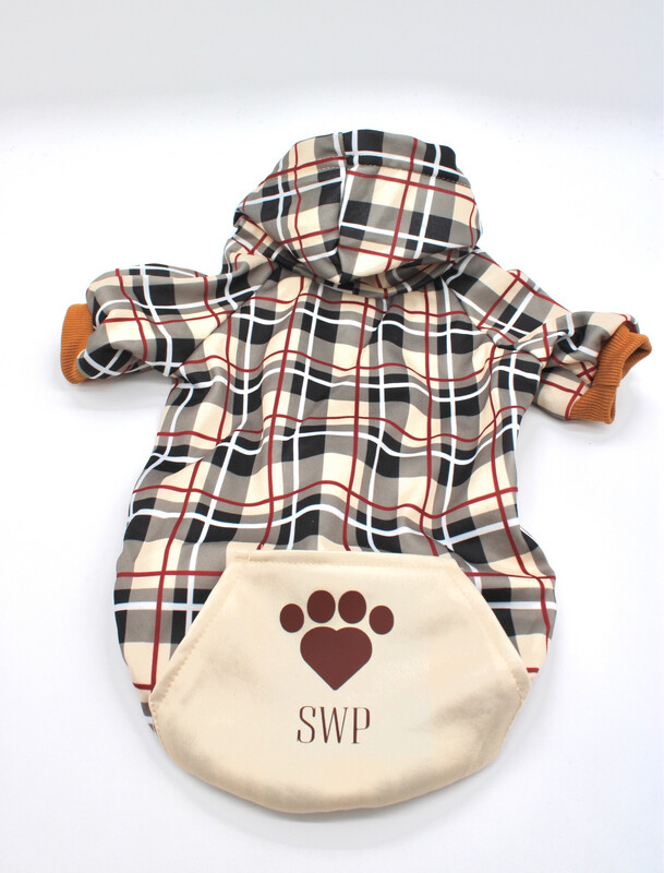 SPRING CHECK ME OUT HOODIE