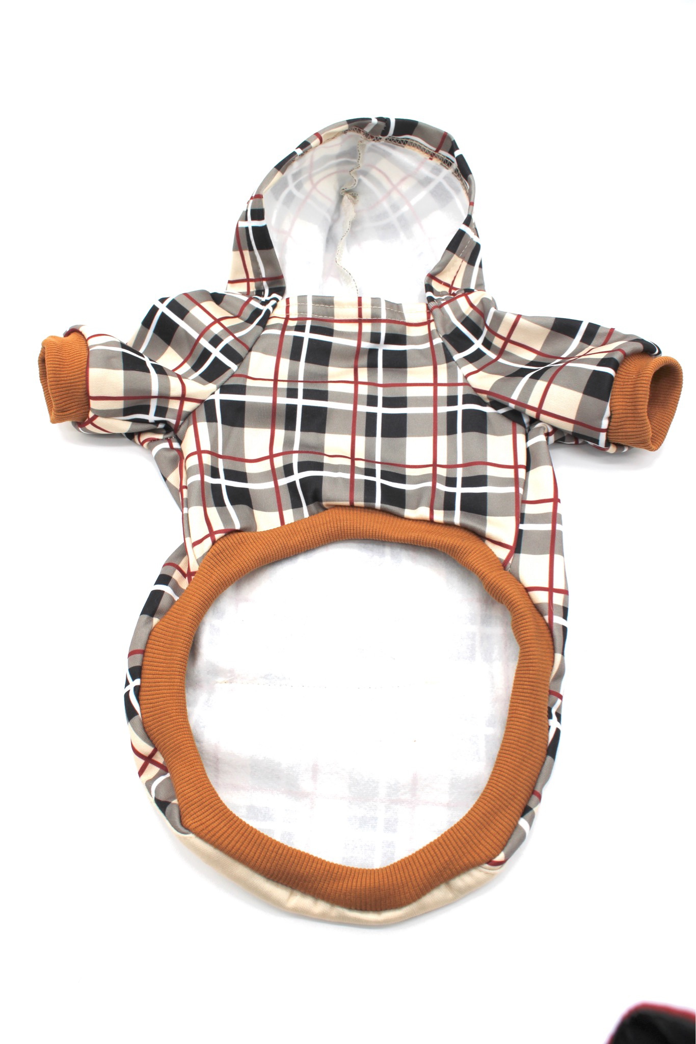 SPRING CHECK ME OUT HOODIE