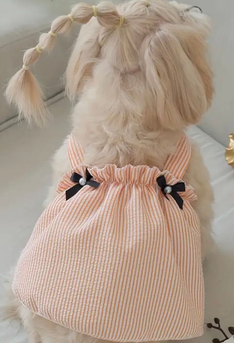 Candy Stripe Dress (NEW)