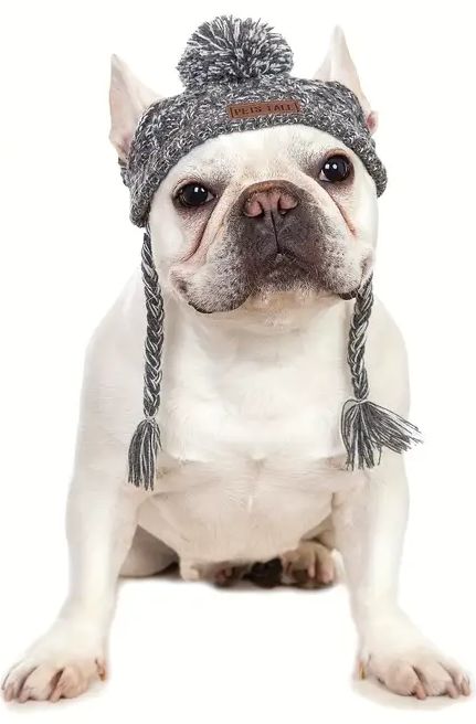 Dog Beanie- GRAY~NEW