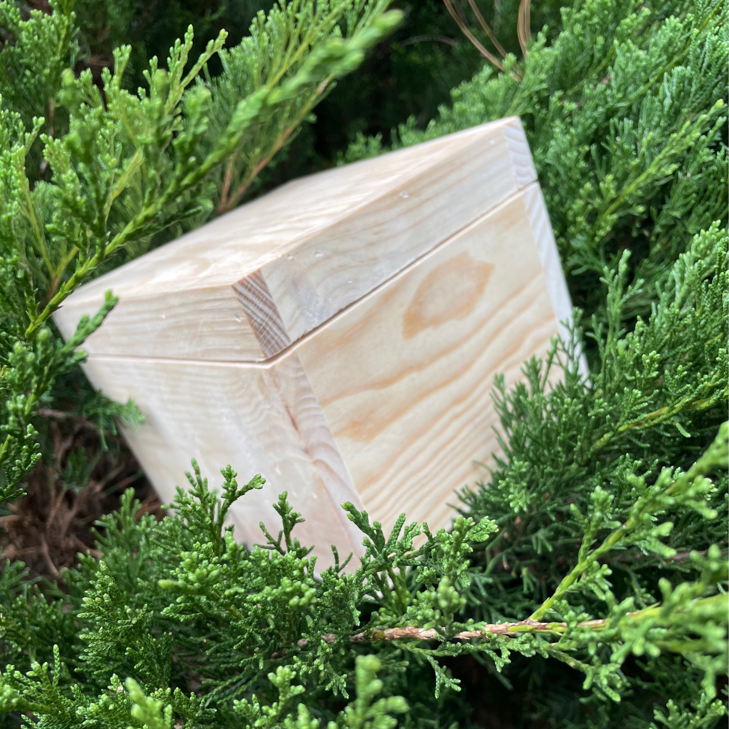 Caja de regalo cuadrada, empaque para combos ecológicos