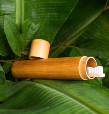 Tubo de bambú porta cepillo de dientes
