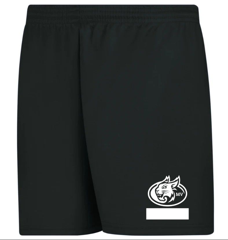 MV and LA  Athletic &amp; PE Shorts