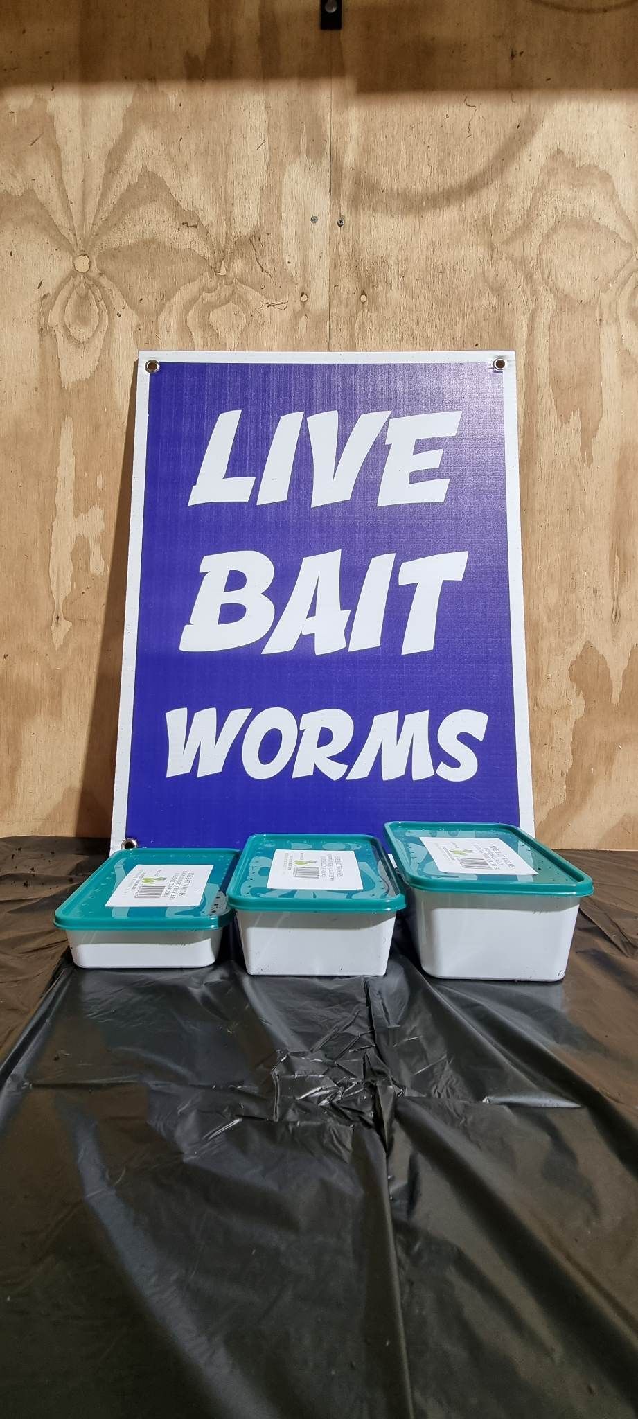 20-25pcs European Nightcrawlers (GST INCLUDED)