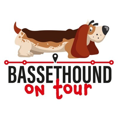 Basset Hound On Tour