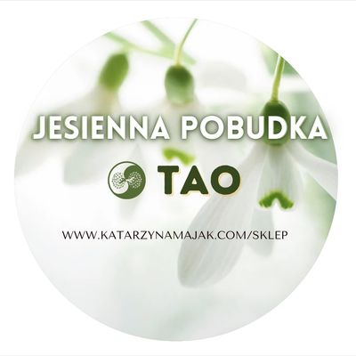 Warsztat tao pobudka 2.11