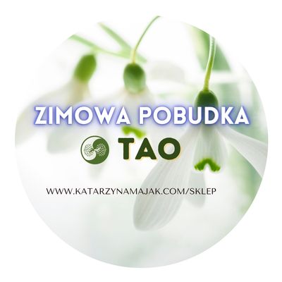 Warsztat tao pobudka 15.02.26