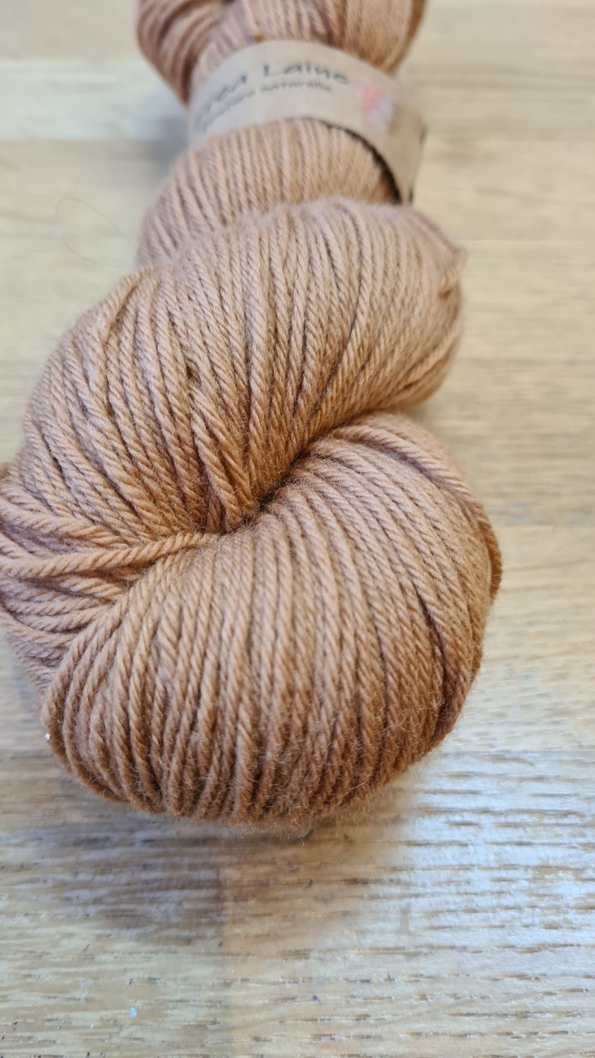 Noisette