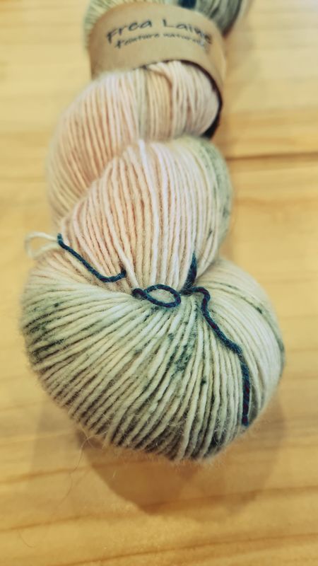 Hortensia 1